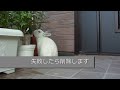 yt:stretch=16:9 テスト