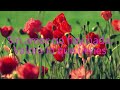 Espaderos-Mi video