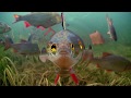 Underwater world of Ireland in HD.