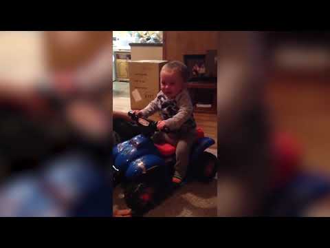 Top 10 Baby Drives | * Best Scene Baby Drivers * |Funny Babies and Pets