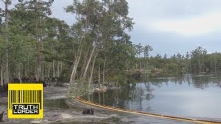 Giant sinkhole swallows trees in Assumption Parish, Louisiana - Truthloader