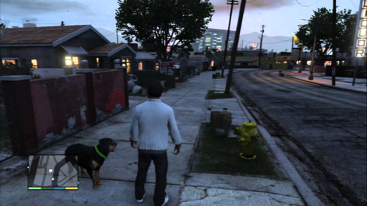 Grand Theft Auto V Play With Chop At Night Chop Takes a Dump (Poo
