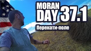 Moran Day 37.1 - Перекати-Поле