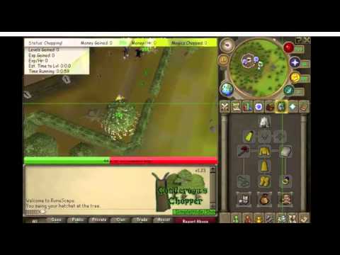 How To Install Runescape Bot Scripts For Runescape