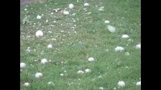 Abilene Hail Storm 214