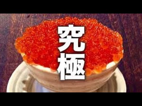 【衝撃】ギネス申請中!?超大盛りいくら丼【札幌】【すすきの】【はちきょう】Japanese Food Sushi