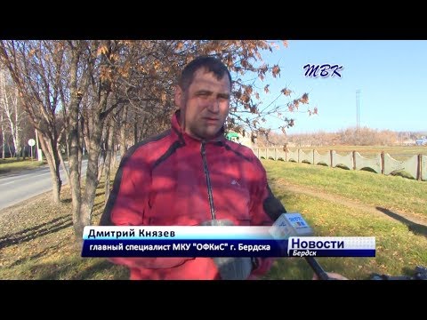 Осенняя уборка в Бердске продолжается