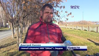 Осенняя уборка в Бердске продолжается