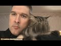 Advanced Cat Yodeling