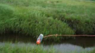 Eel Fishing