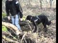 N°1 RECHERCHE ET SECOURS 0001
