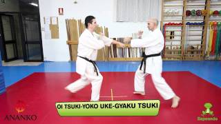 Ippon Kumite  - Karate-do 