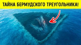 Самая большая тайна Бермудского треугольника раскрыта: обнаружены гигантские морские существа