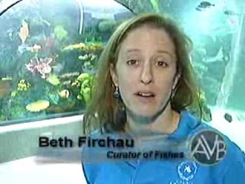 Virginia Beach Aquarium Hours Of Operation Virginia Beach Aquarium Hours Of Operation