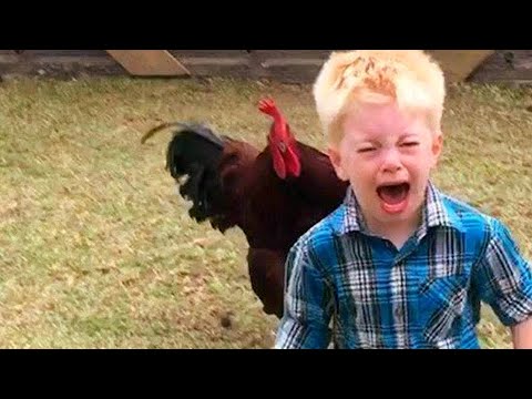 16 Funniest Animals Scaring People Reactions! (Funny Videos 2019 😂 Try Not to Laugh 😂)