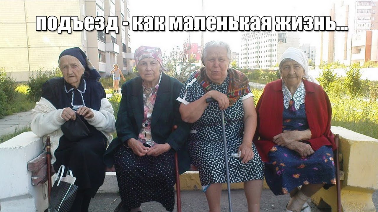 Потом кошачью жопу potom-koshachyu-zhopu