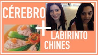 CÉREBRO DE PORCO E VIAGEM A SUZHOU - vlog in china 9