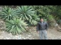 Times at UET Taxila, Session 2008, HD.