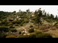 Aaron Gwin Blazes a Downhill MTB Trail in California