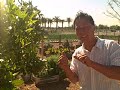 Examples of Container Gardening, Raised Bed Garden, Vertical Tower Garden at the Great Park