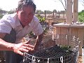 Examples of Container Gardening, Raised Bed Garden, Vertical Tower Garden at the Great Park