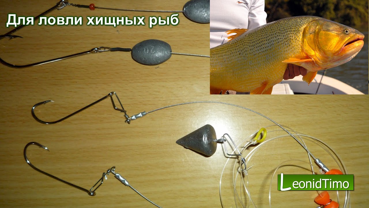 лучшие снасти для ловли щуки лучшие снасти для ловли щуки