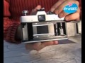 miniature