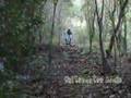 
Intro del video amateur 