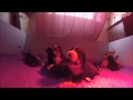 Mon film mp4 ermine 20j