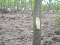 Значок видео