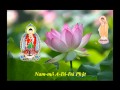 (4/7) Tụng 48 Lời Nguyện-Niệm Phật-(Nghĩa)-Thầy Thích Trí Thoát tụng