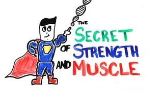 The Scientific Secret of Strength and Muscle Growth