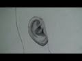 Part 2/3: Draw the Ear Side (Profile) View Step by Step
