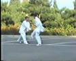 Huo style baji duida