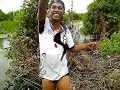 Strike ikan haruan dengan pancing tegek | ngakak - lumayan daripada lumanyun