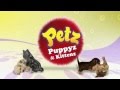 Petz Puppys & Kittenz Gameplay (2011 DS) 1080p HD HQ Playable on Nintendo  DSi 3DS DSXL 