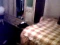 Thumbnail 2 for Mi Esposa Nalgona 2 Thumbnail 2 for Mi Esposa Nalgona 2