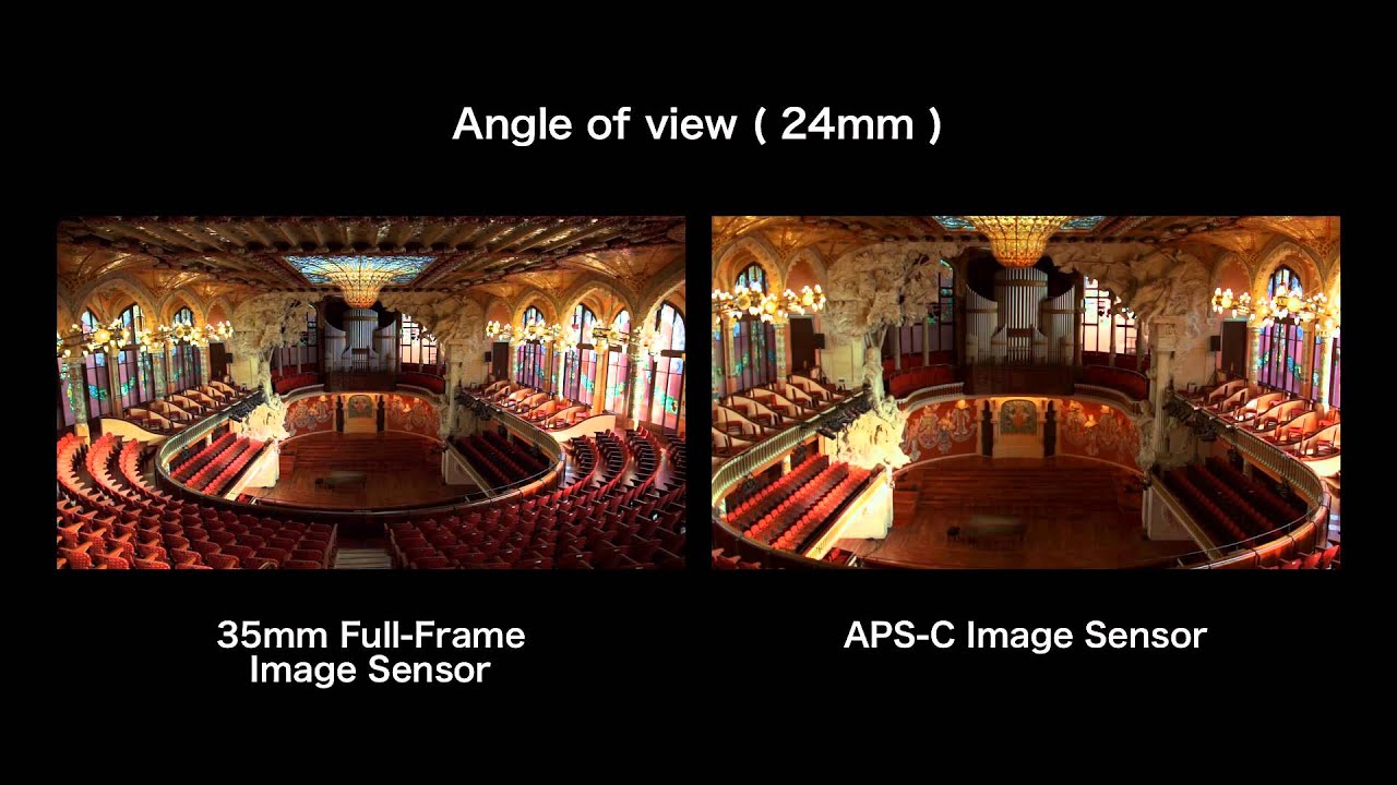 full frame sensor vs aps c