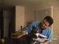 Chat qui parle