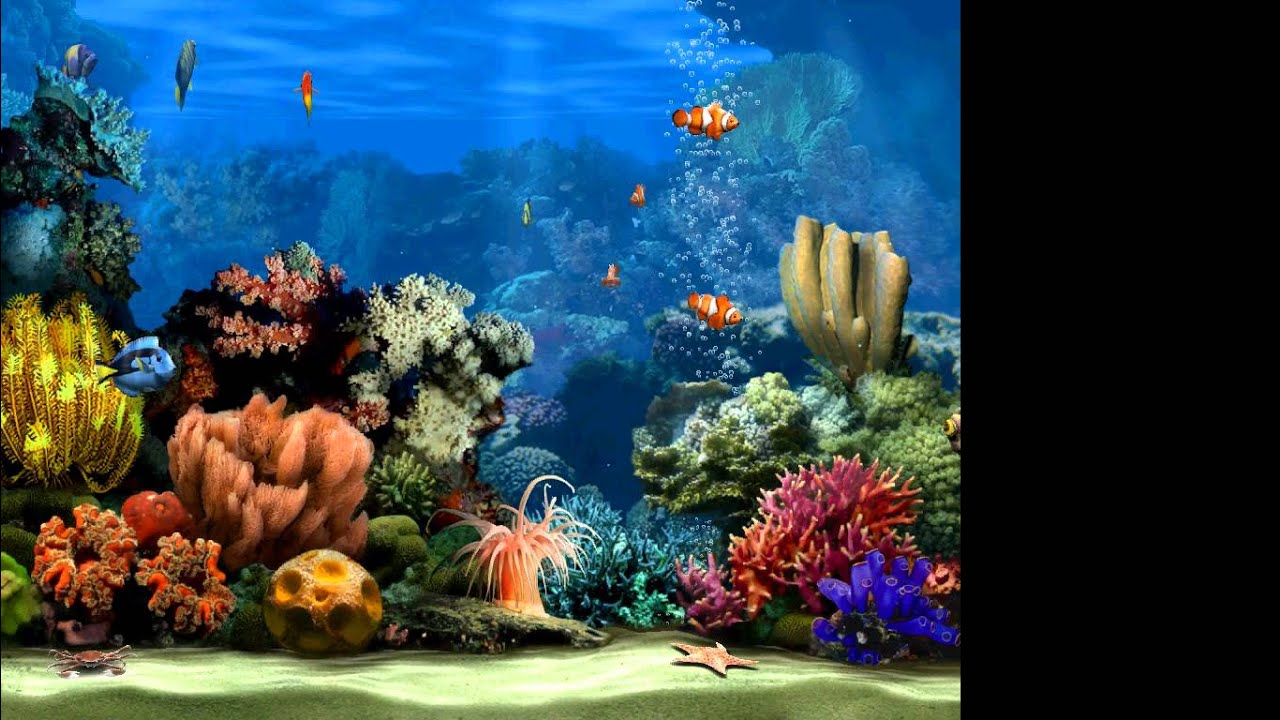marine aquarium screensaver issues