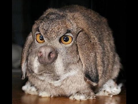 Как сделать матрицу на гранулятор Как сделать матрицу на гранулятор