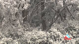 Thredbo Snow and Weather Report 19 June 2013