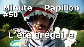 Minute Papillon #50 L'été grégaire