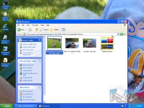 usmt 4.0 download windows 7