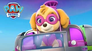 Psi zachraňují kuře! - Tlapková patrola PAW Patrol 