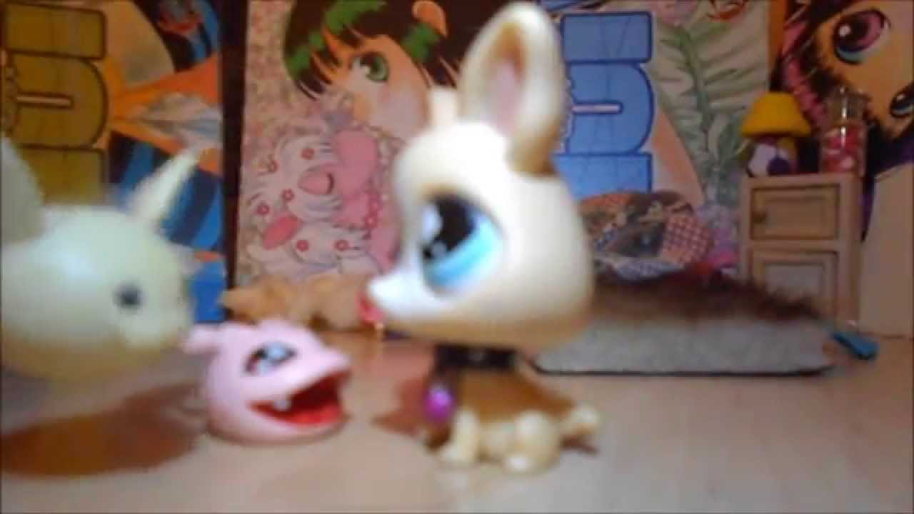 La mouette et le chat streaming gratuit
