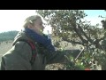 Domaine de Cordis - FRANCAIS