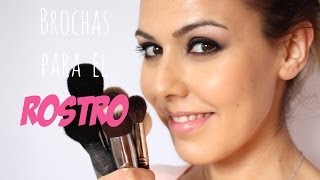 Brochas básicas para el rostro