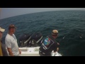 Sharking South of Martha's Vineyard