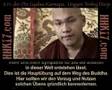 S.H. Karmapa: Buddhas Loesung der Probleme der Welt